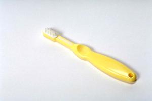 子宝祈願のことならば本光寺にて