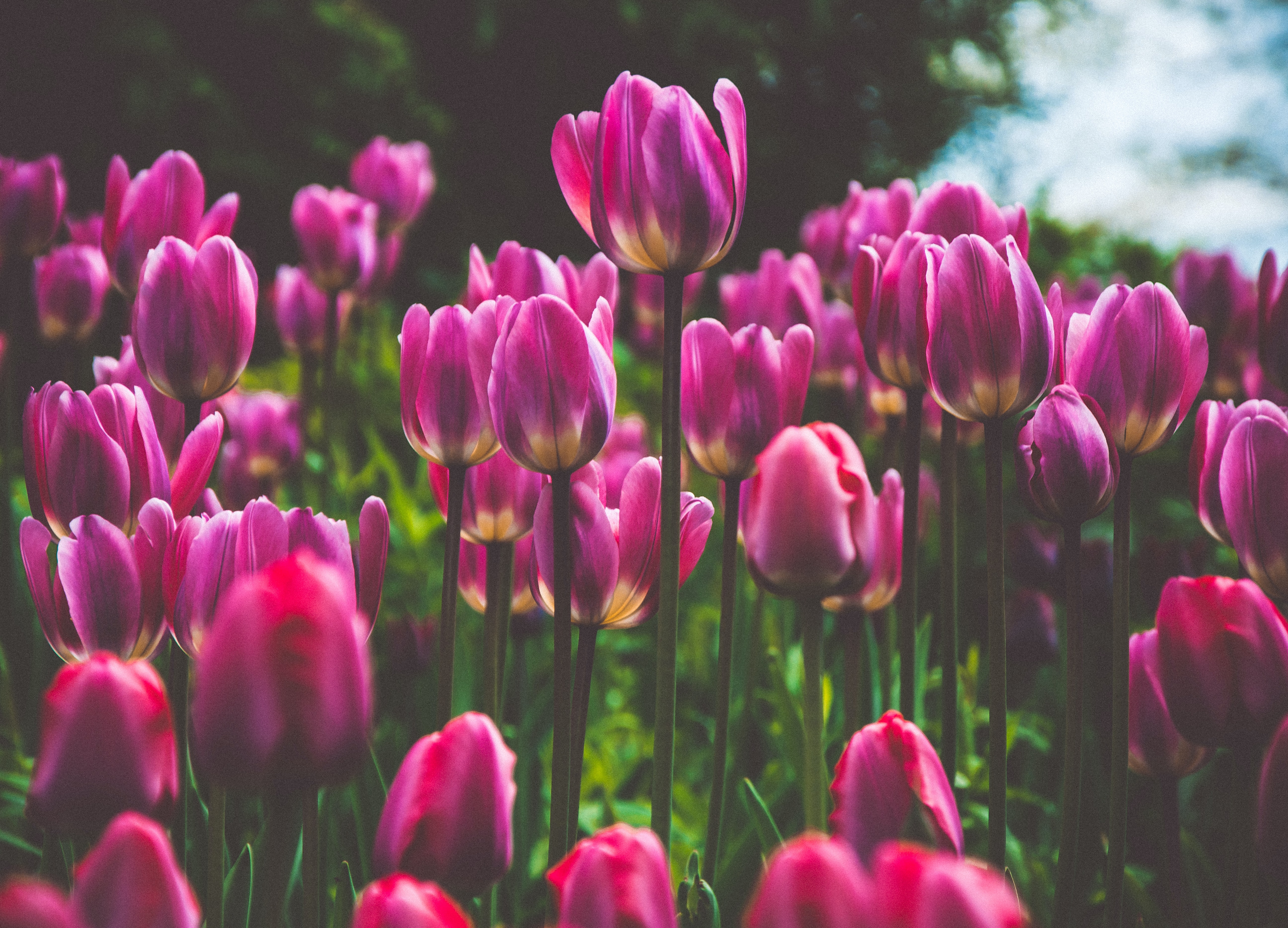 赤ちゃんの基本について学ぼう